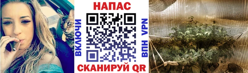 Конопля конопля  Купить  Кострома 